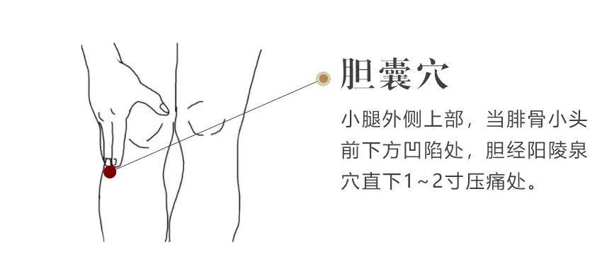 取穴位置：胆囊穴在小腿外侧上部，当腓骨小头前下方凹陷处，胆经阳陵泉
