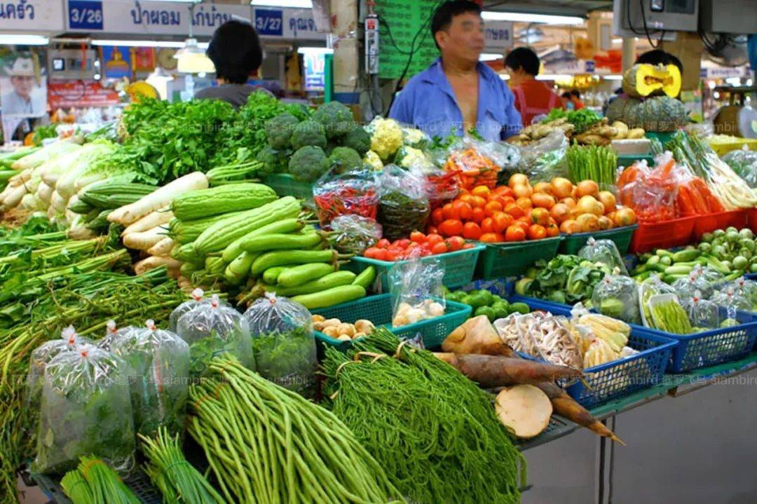 泰国对受污染的进口蔬菜水果敲响警钟完美电竞(图3)