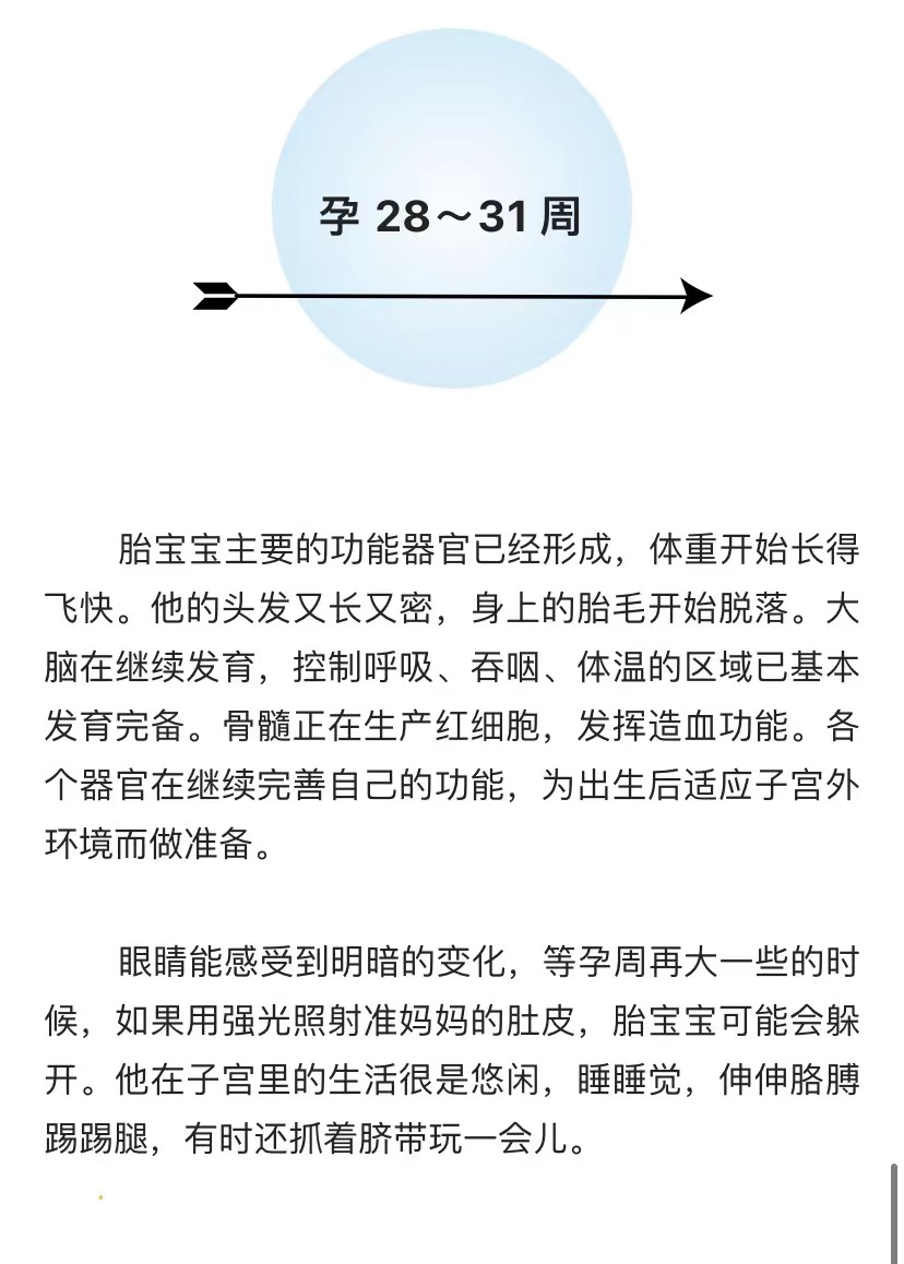 凤凰【澳门精准100%一肖一码免费】-自贡荣县举行电商产业发展专题培训会