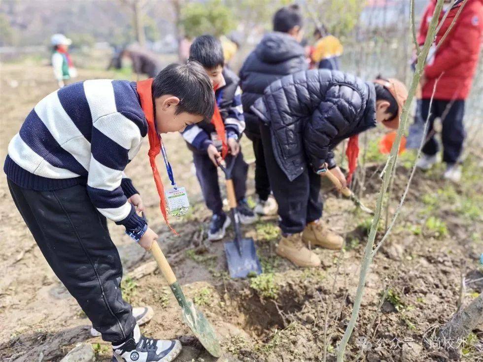 校外空间〡第八十八期威客电竞(图5)