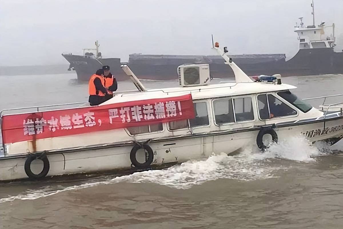 十年禁渔效果明显，安徽巢湖发现罕见鱼类，专家：水质指示物种