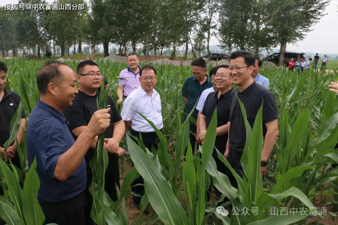 九游会J9 J9九游会富神基地“五良”融合促进粮食丰收(图3)