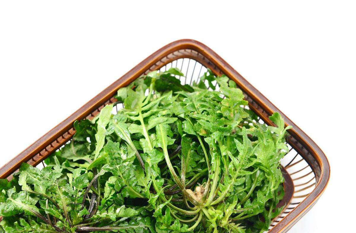 无论是做馅料、炒菜还是煮汤,荠菜都能以其独特的清香为餐桌增添春意。