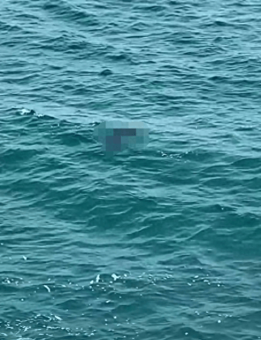 深圳大梅沙景区海面发现浮尸