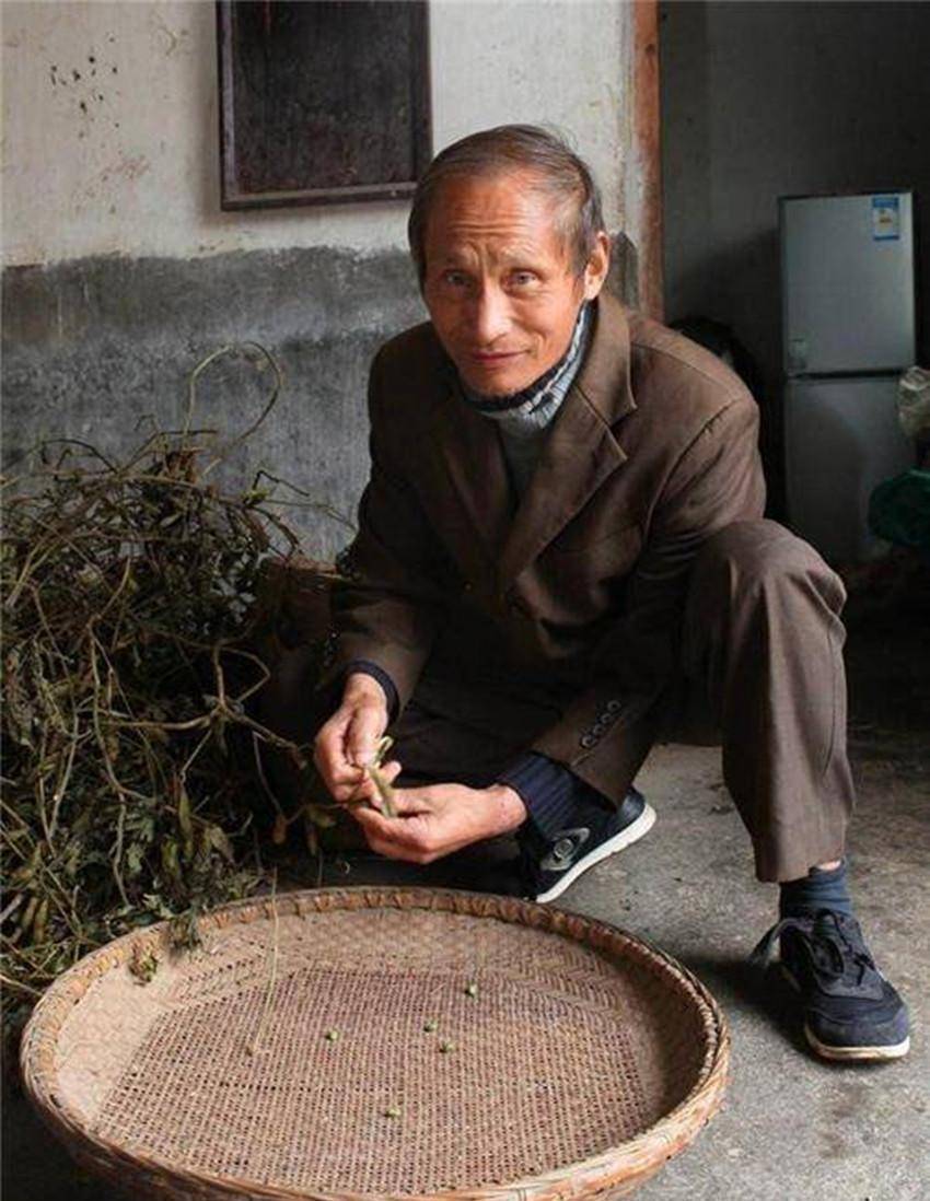 原创当年的“普京哥”罗元平，拒绝了国外富婆的求爱，现在过得怎样