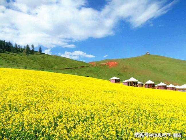 我在青海旅游最好用的攻略来了这是关于我的体米乐 M6验分享(图23)