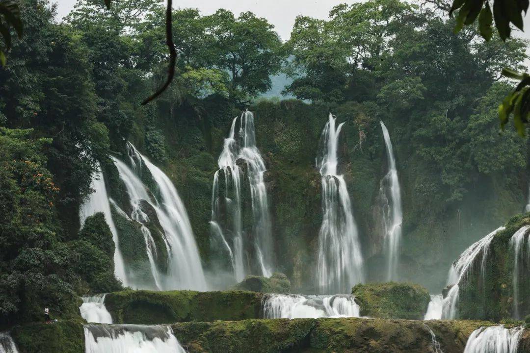 ���ڡ��˼��ɾ���������ű�����,���Ա�ʯΪʲô���˳���?