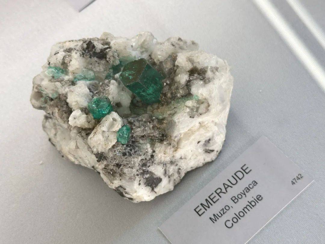 ���ڡ��˼��ɾ���������ű�����,���Ա�ʯΪʲô���˳���?