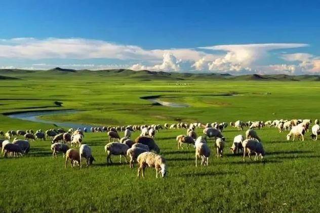 看!!草原之约:内蒙古5-9月游玩攻略
