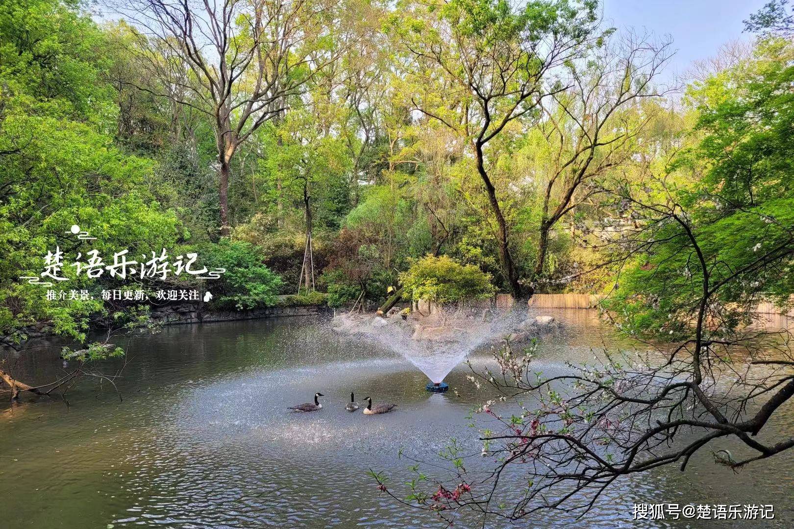 杭州西湖南部山林中的热门打卡地，不仅是遛娃胜地，还有美丽风景