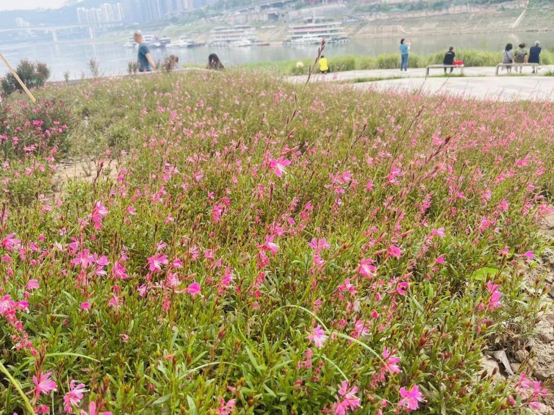 影视风云【欧洲杯彩票怎么猜】-哪吒汽车回应天津自燃事故：电池包处于安全受控状态