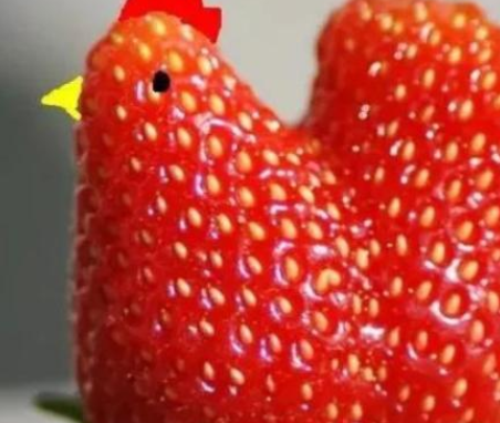 这些水果外形很“奇葩”，看到最后一个，网友：这是要“成精”？
