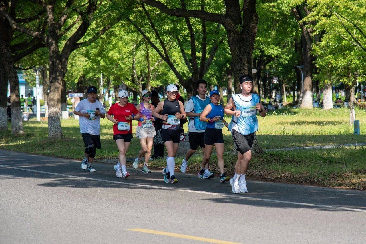 🌸【2024澳门天天开好彩资料】🌸-平坝检察：公益诉讼助力保障道路运输安全