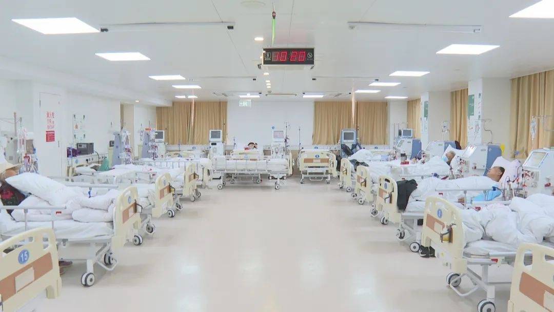 治疗、康复一体化！普陀这家医院的肾内科实现“双提升”