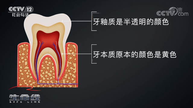 🌸半月谈【管家婆一肖一码澳门码资料】|上海市健康促进融媒体中心正式启用 打造健康科普“中央厨房”