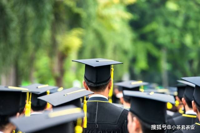 一年制硕士报考事业编和公务员的条件