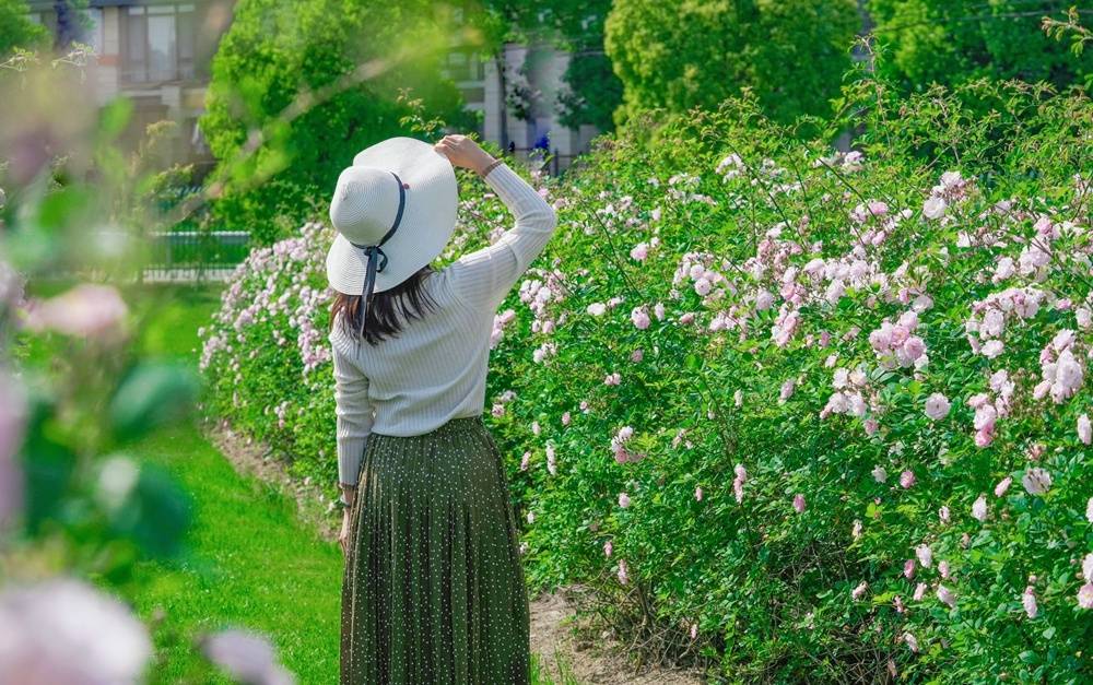 🌸晋中日报【澳门管家婆一肖一码100精准】_备忘录已签署 争取国际人才组织联合会年内落地北京城市副中心