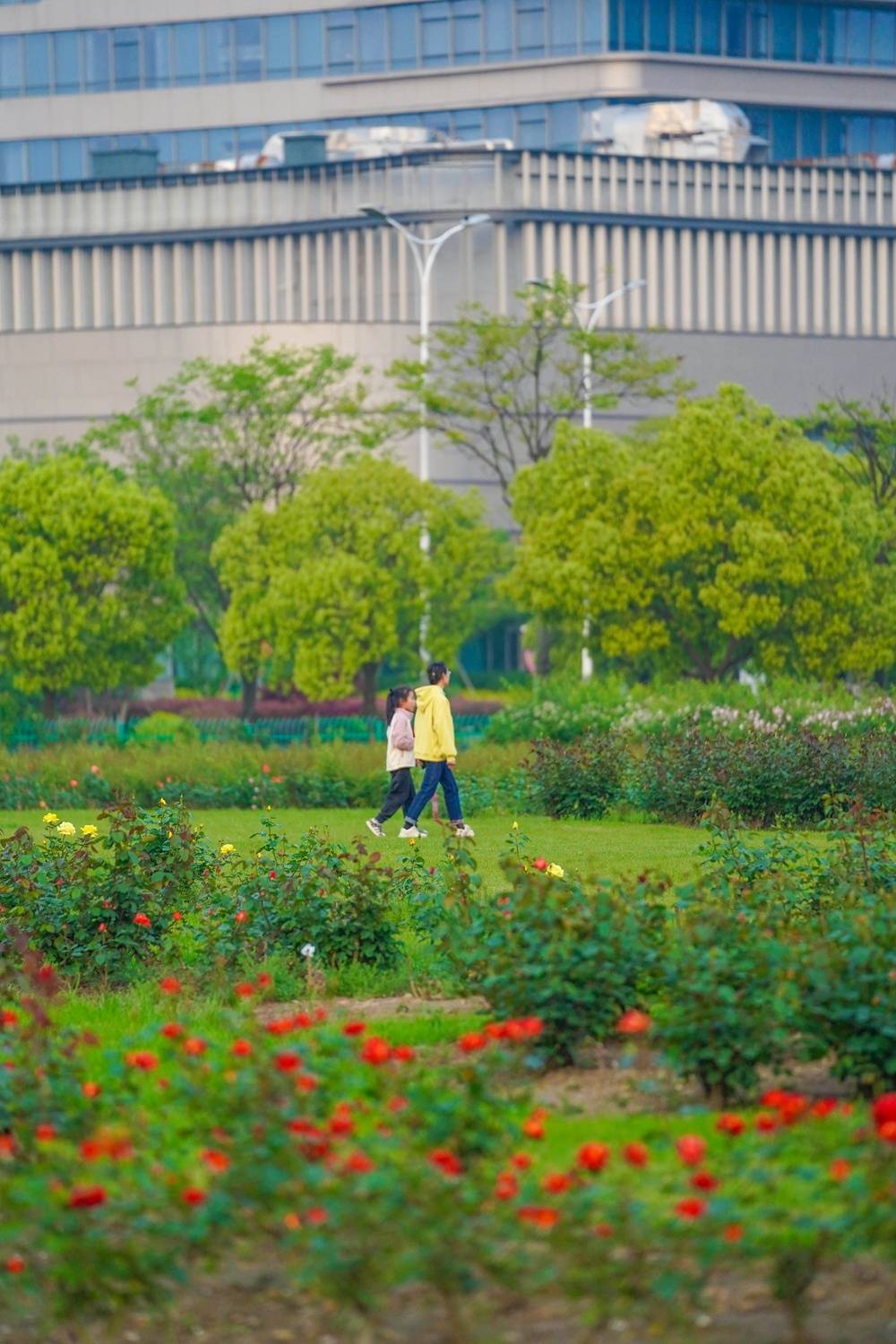 🌸中国纪检监察报【管家婆一肖-一码-一中一特】_城际铁路监管出台新规：将破解与城市轨交等物理衔接不畅难题，支持枢纽场站换乘衔接，推进安检互信、支付兼容