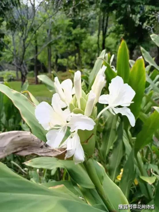 上游新闻🌸2024管家婆开奖结果🌸|达能开启“振新达能”战略新篇章 迈向健康与营养的未来  第3张