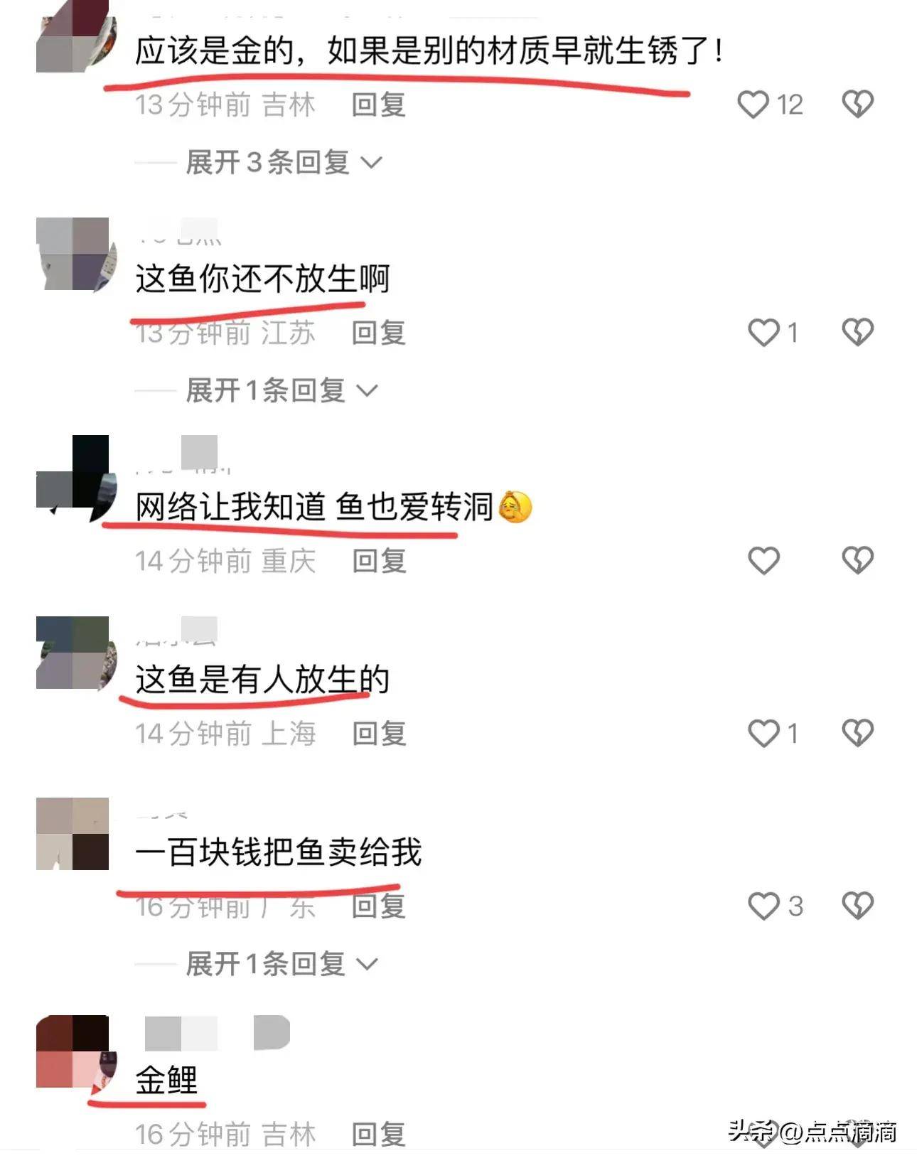 池塘内捞鱼售卖时，一条草鱼身子疑被“金镯子”卡住：头一次见！