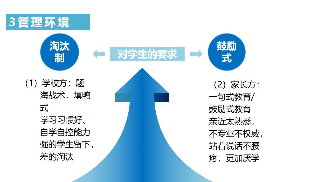 龙珠直播：2024澳门正版资料大全-聚焦教育与家庭 新加坡“国民IP”推出电影续集《小孩不笨3》