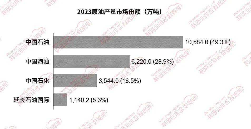 2023年中国石油市场占比达49.3%