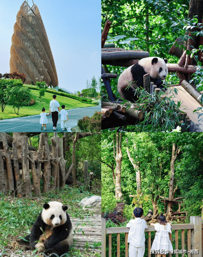 “成都必去三日游旅游最佳行程分享 攻略景点