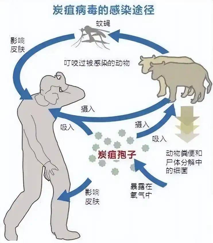 🌸证券时报网 【管家婆一码一肖100中奖】|雏鹰小队 | 守护“睛”彩世界 点亮光明未来——山东师范大学附属小学二（9）中队走进“小瞳仁科普馆”健康教育基地