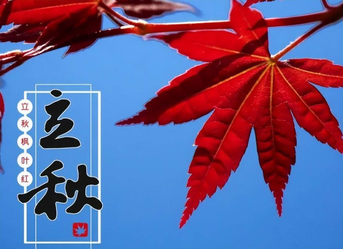 立秋之析：2024 年立秋的特点与养生之道