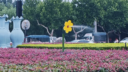 🌸【管家婆一肖一码100%准确】🌸_第二届上海市推进儿童友好城市建设论坛启幕在即，共绘儿童与城市共成长新篇章