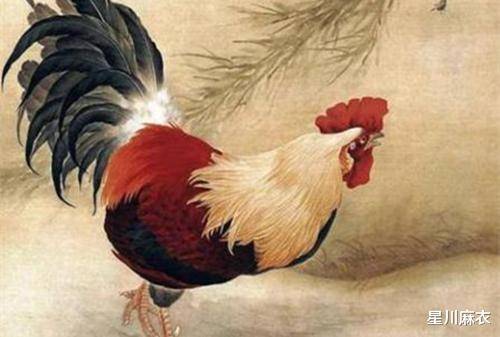 原创
            8.12-8.18日，属鸡、属狗、属猪运势提点，属狗稳中求进，戒骄戒躁