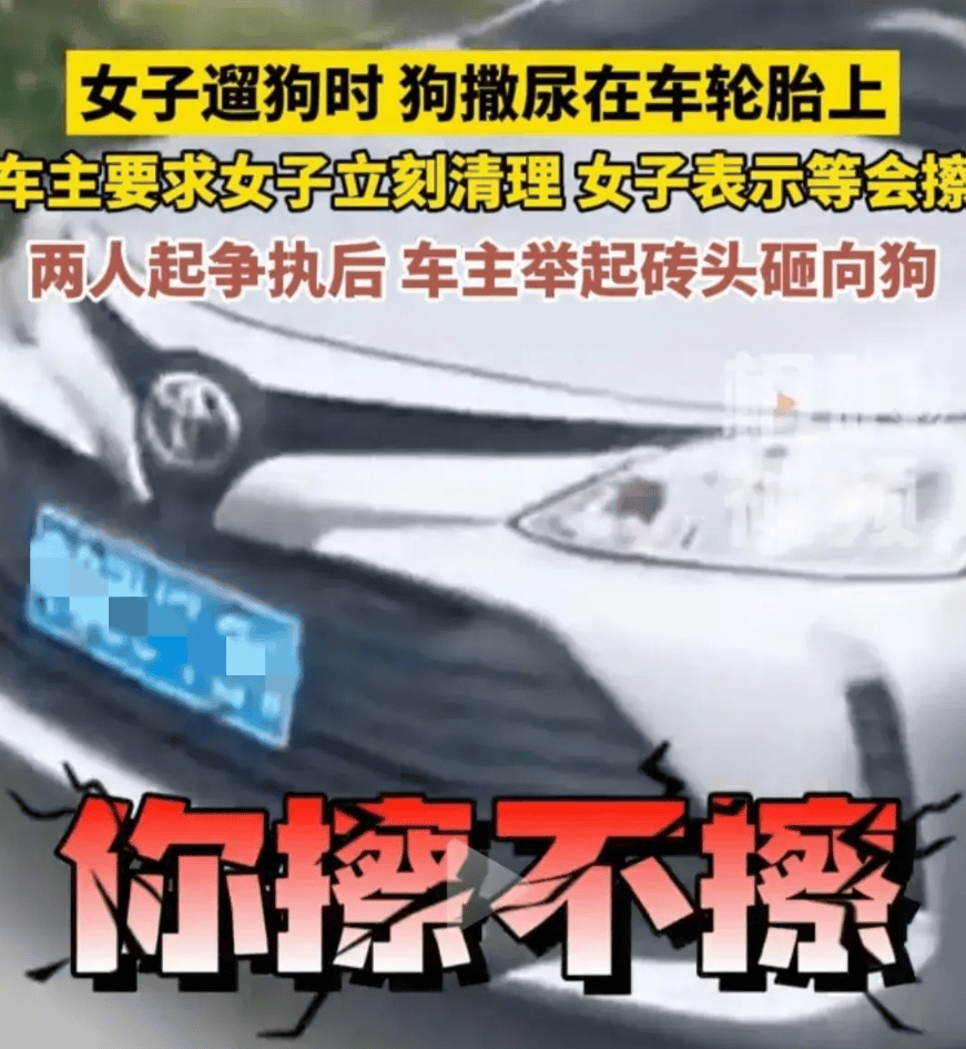 反转!女子遛狗尿轮胎上,被发现后拒绝清理,车主拿砖头砸狗泄愤-狗尿到车轮胎上算命