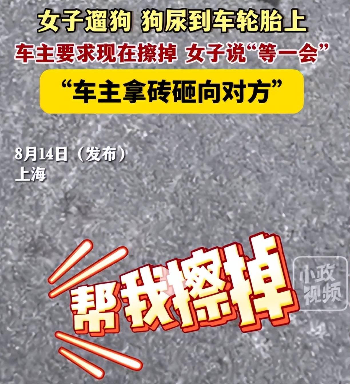 反转!女子遛狗尿轮胎上,被发现后拒绝清理,车主拿砖头砸狗泄愤-狗尿到车轮胎上算命