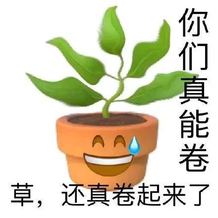 🌸【澳门王中王100%期期中】🌸_盛天网络：带带电竞产品已上线数年，公司持续关注互联网泛娱乐相关产业链的并购机会