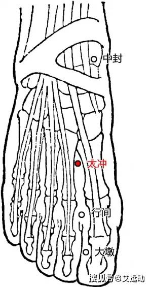 老年人常见病~骨质疏松艾灸疗法(图7)