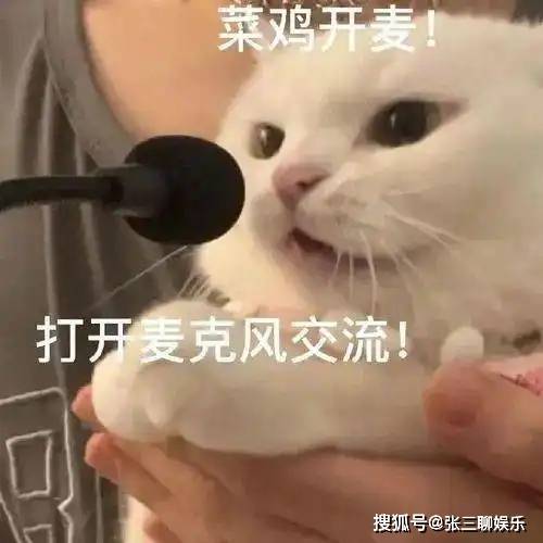 原创金星与前妻肯波琳合照曝光！孕期离婚美貌赛天仙，今两人成闺蜜！