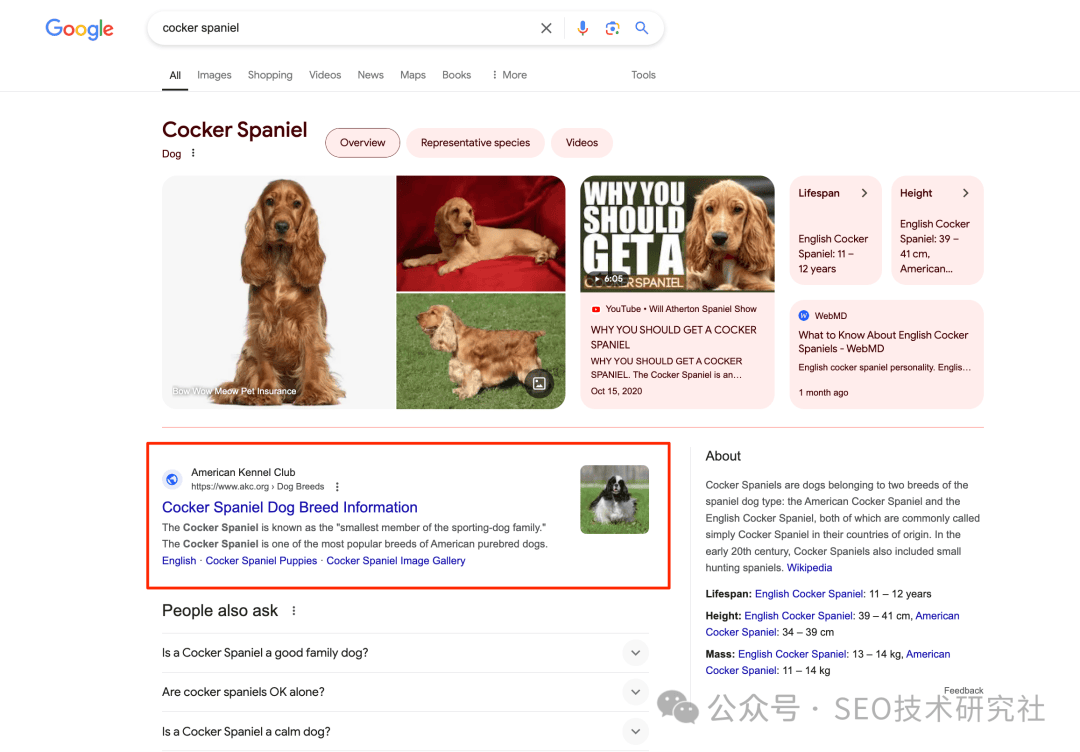 什么是google图片seo，为什么它很重要？