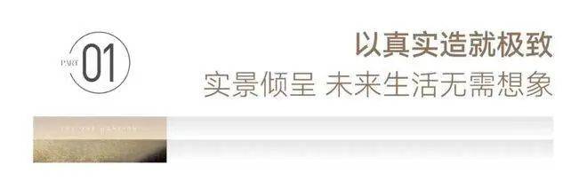 文章配图-24