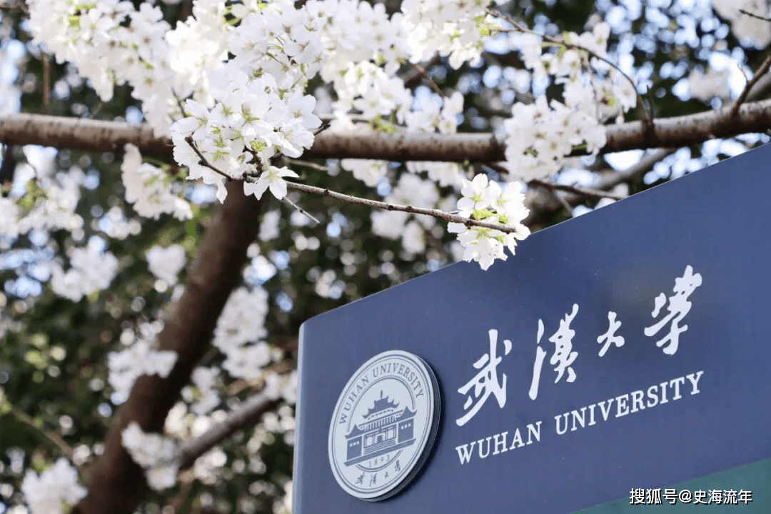 珞珈山换新颜！武汉大学2024级本科新生大数据解读，天蝎座最多