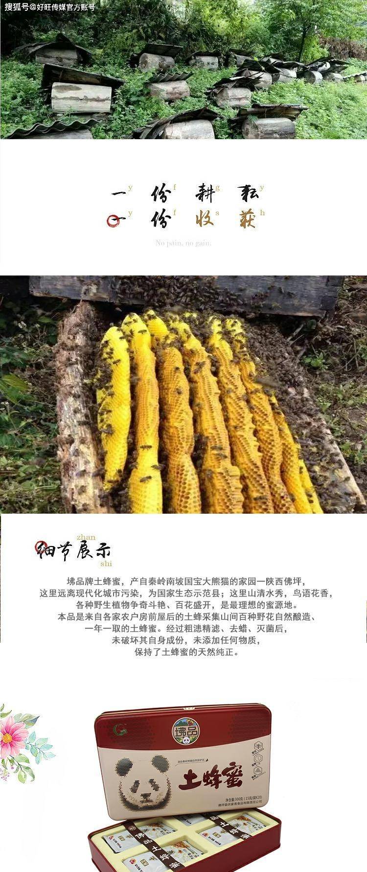 🌸潇湘晨报【澳门平特一肖免费资料大全】|教师的心理健康，需要受到关注  第1张