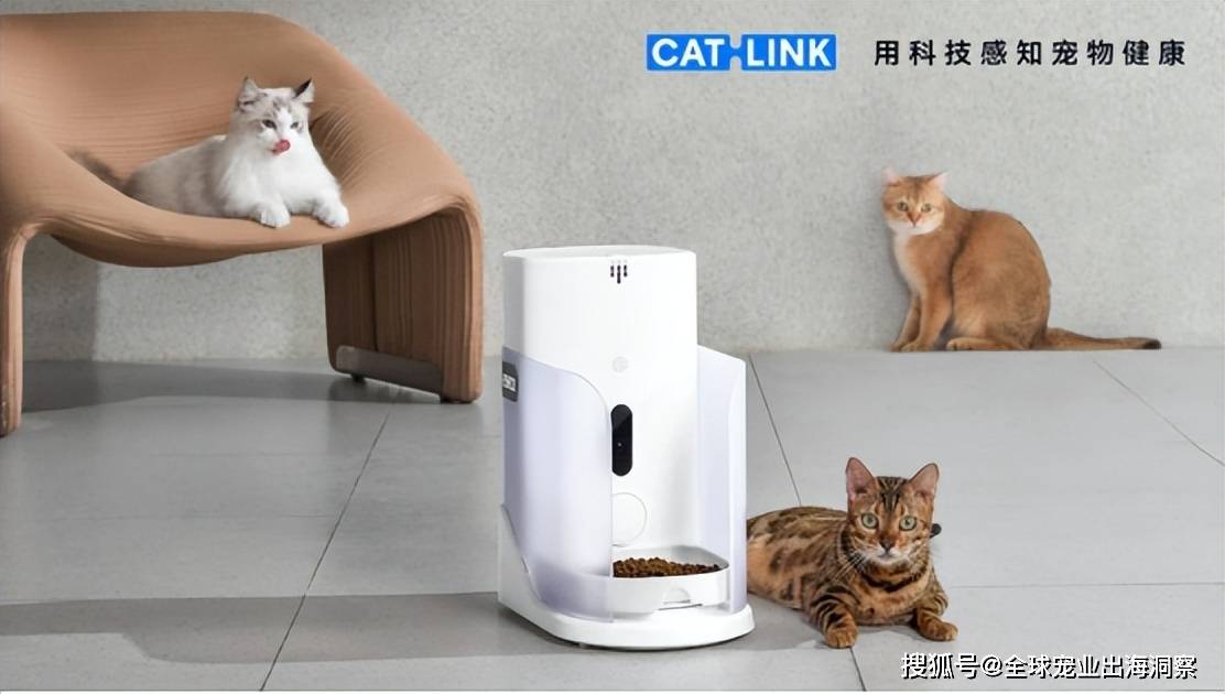 国产宠食品牌市占暴涨一企业推“黑神话”色彩宠物尿垫还有…双赢彩票平台(图9)