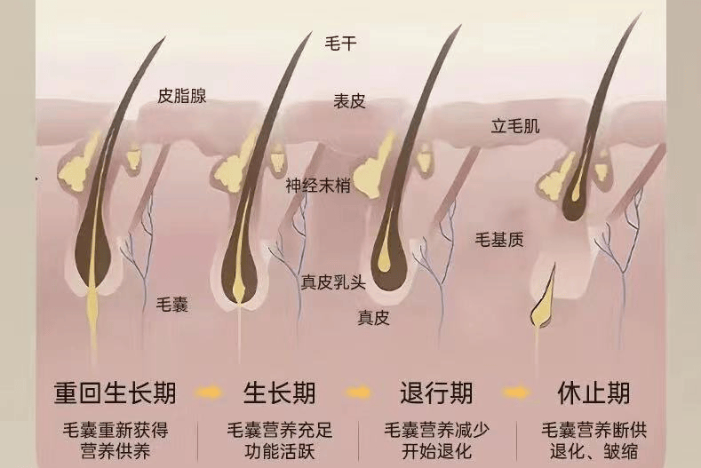 脱发的解决方法有哪些？效果怎么样？