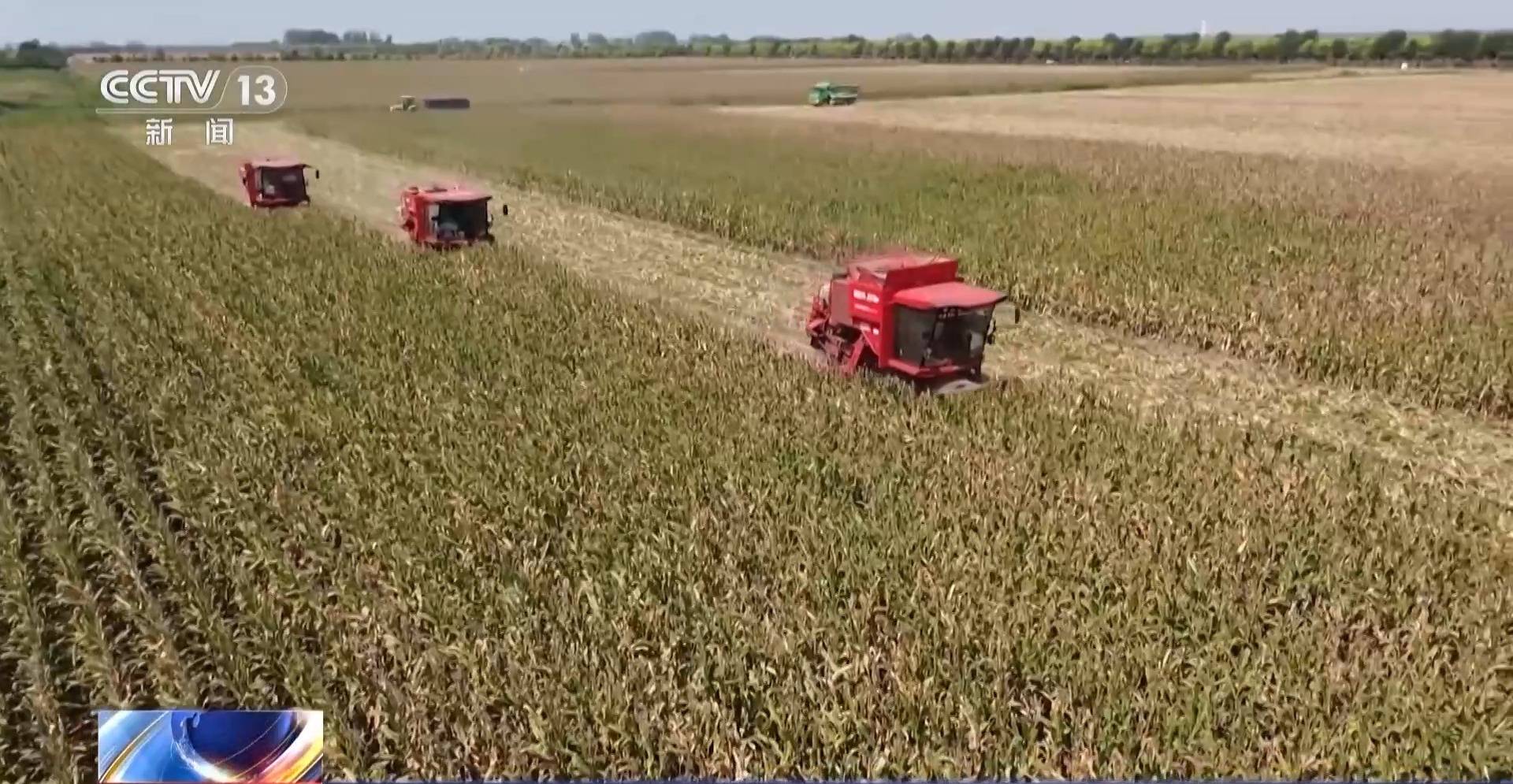 全国秋粮有望再获丰收 来看秋收画卷背后的新科技→