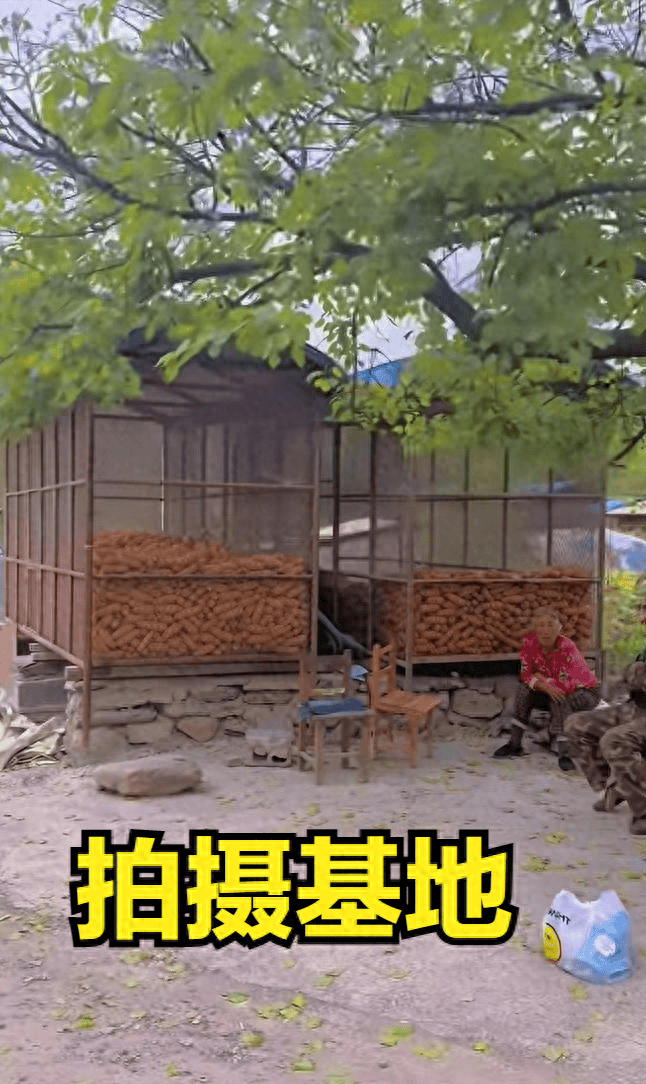 人去楼空！东北雨姐塌房之后拍摄基地被曝已人去楼空？大型纪录片东北雨姐塌房