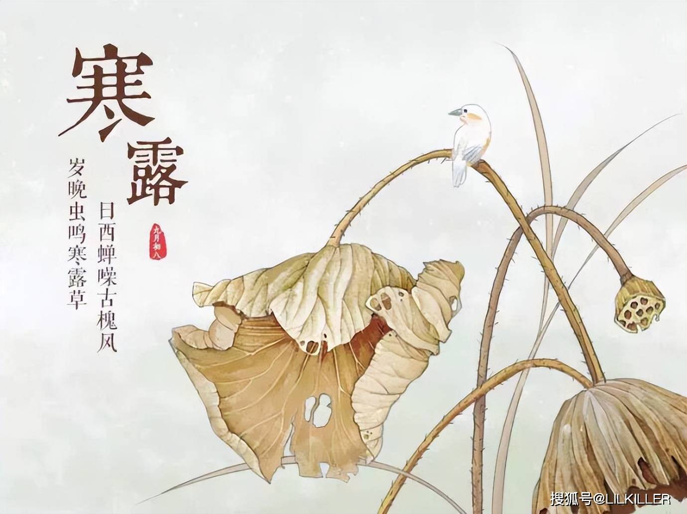 生肖羊，2024年寒露节气：10月8日-10月23日综合运势分析！