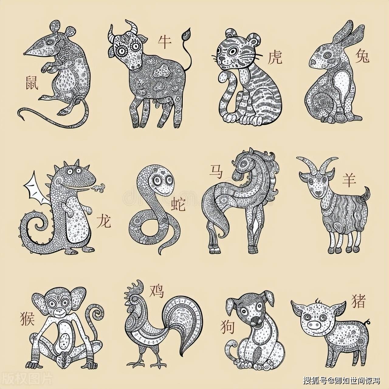 二、三大生肖详解