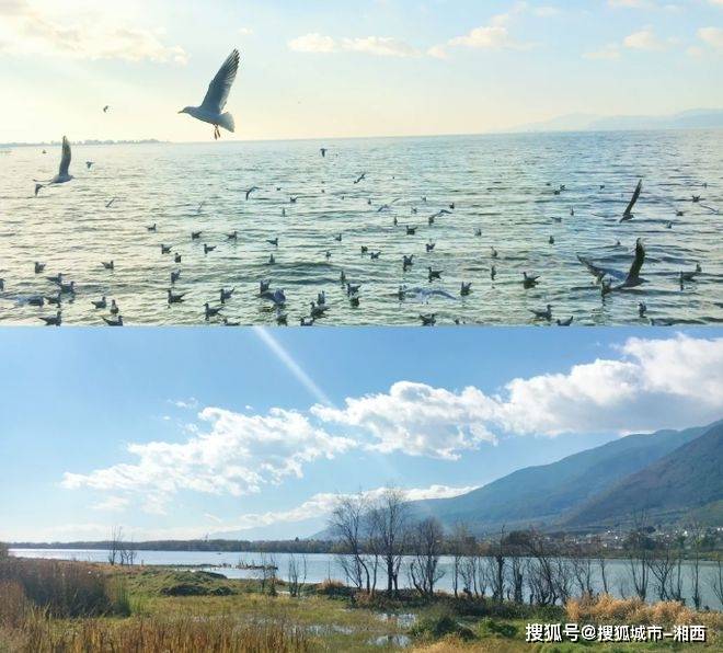 杏彩体育登录云南什么时候去最好云南旅游攻略五日游联系云南导游