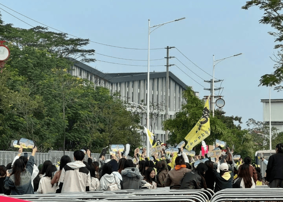 鹿晗佛山音乐节:黄色旗帜飘扬,人气爆棚的盛宴-鹿晗2021广州演唱会门票