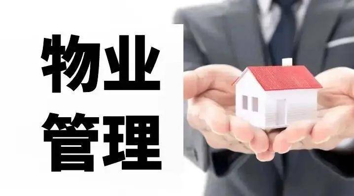 文章配图-2