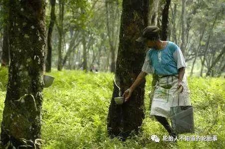 最高涨8%开云全站入口轮胎涨价到2025年4月(图9)